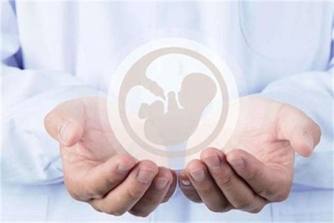 http://changsha.vdtfzz.com/post/214.html|长沙人工试管